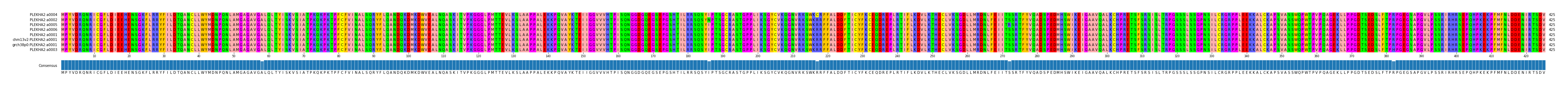 Multiple Alignments (by translate haplotype similarity)