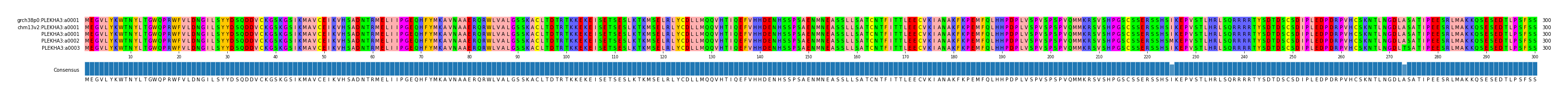 Multiple Alignments (by translate haplotype frequency)