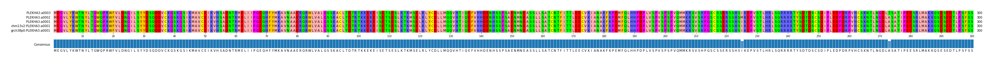 Multiple Alignments (by translate haplotype similarity)