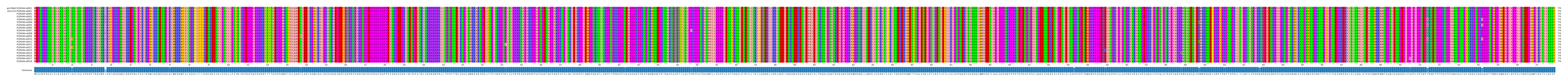 Multiple Alignments (by translate haplotype frequency)