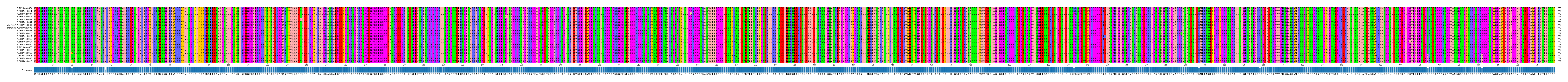 Multiple Alignments (by translate haplotype similarity)