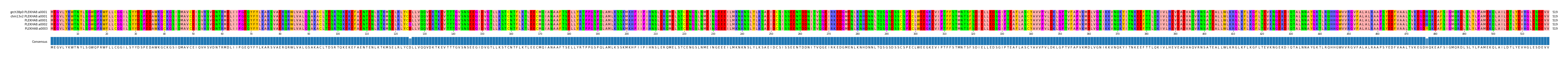 Multiple Alignments (by translate haplotype frequency)