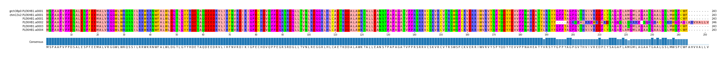 Multiple Alignments (by translate haplotype frequency)