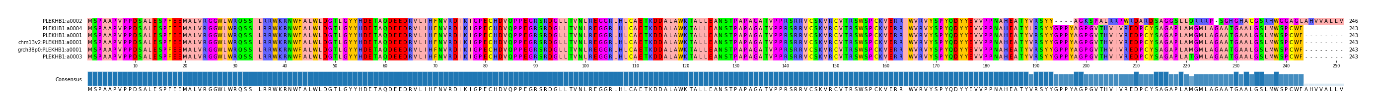 Multiple Alignments (by translate haplotype similarity)