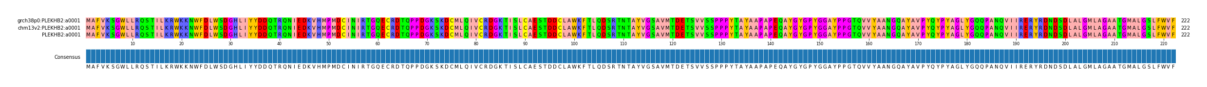 Multiple Alignments (by translate haplotype similarity)