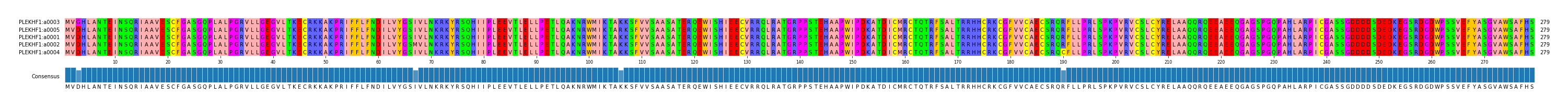 Multiple Alignments (by translate haplotype similarity)