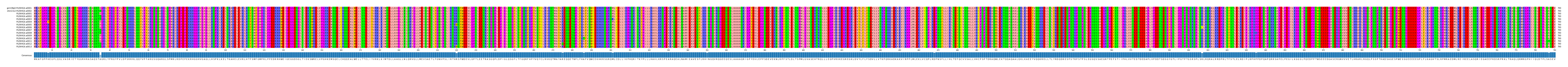 Multiple Alignments (by translate haplotype frequency)