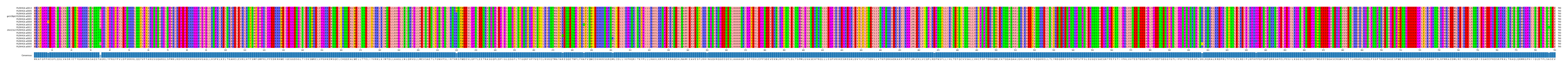 Multiple Alignments (by translate haplotype similarity)