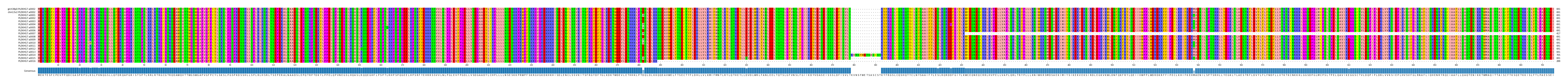 Multiple Alignments (by translate haplotype frequency)