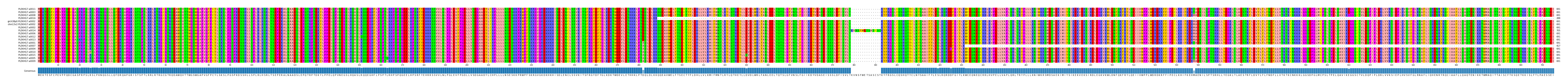Multiple Alignments (by translate haplotype similarity)