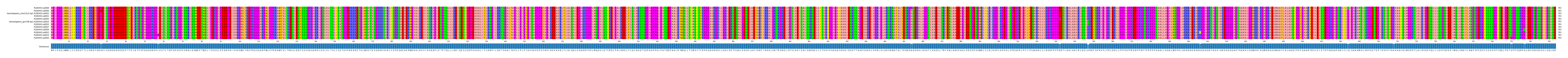 Multiple Alignments (by translate haplotype similarity)