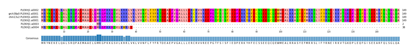 Multiple Alignments (by translate haplotype similarity)
