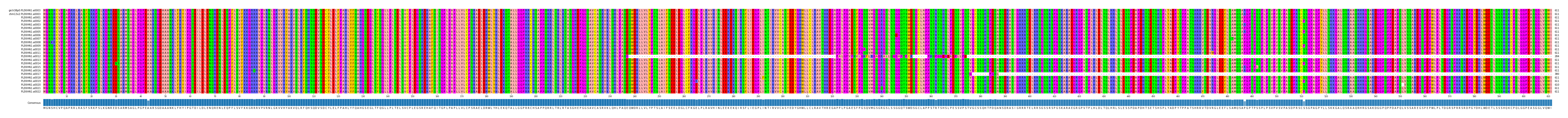 Multiple Alignments (by translate haplotype frequency)