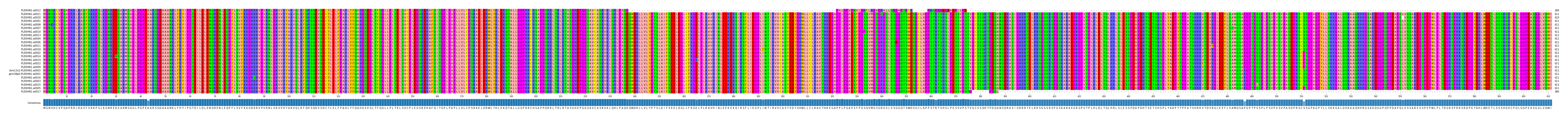 Multiple Alignments (by translate haplotype similarity)