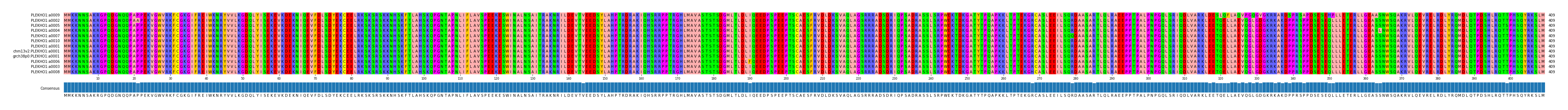 Multiple Alignments (by translate haplotype similarity)