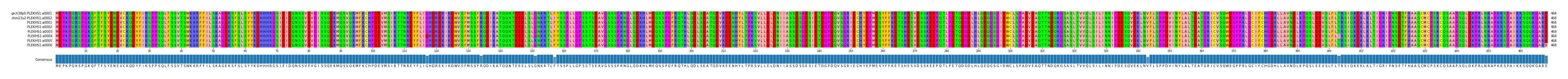 Multiple Alignments (by translate haplotype frequency)