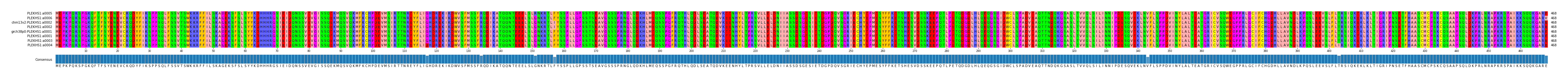 Multiple Alignments (by translate haplotype similarity)
