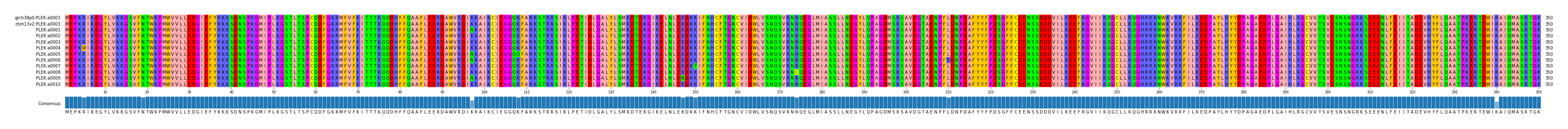 Multiple Alignments (by translate haplotype frequency)