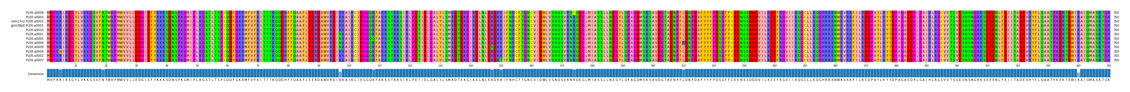 Multiple Alignments (by translate haplotype similarity)