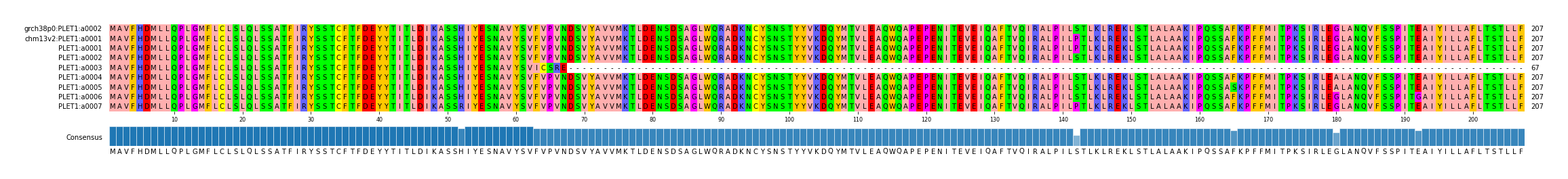 Multiple Alignments (by translate haplotype frequency)