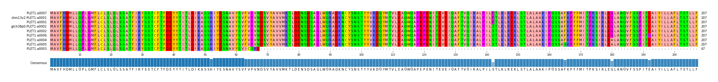 Multiple Alignments (by translate haplotype similarity)