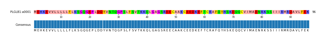 Multiple Alignments (by translate haplotype similarity)