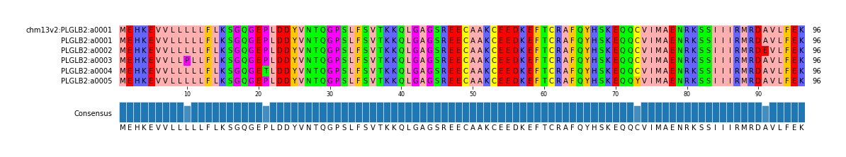 Multiple Alignments (by translate haplotype frequency)