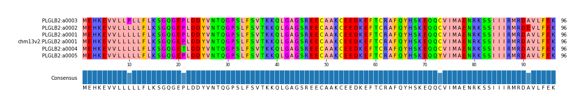 Multiple Alignments (by translate haplotype similarity)