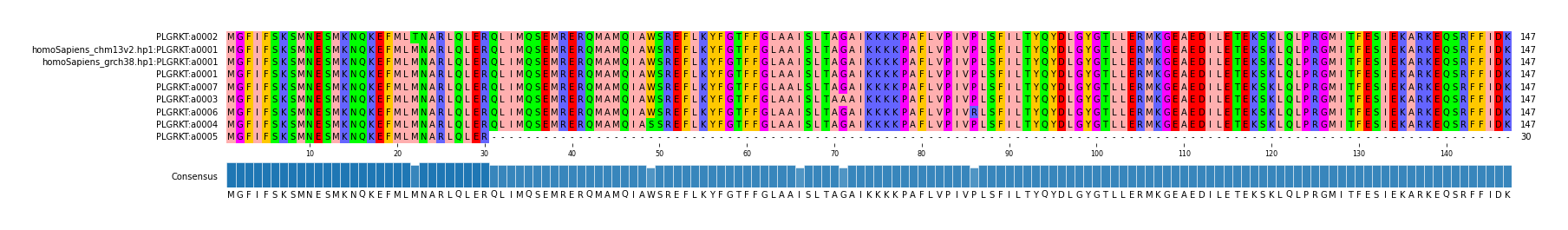 Multiple Alignments (by translate haplotype similarity)