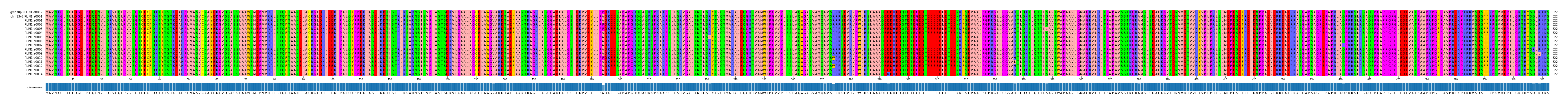 Multiple Alignments (by translate haplotype frequency)