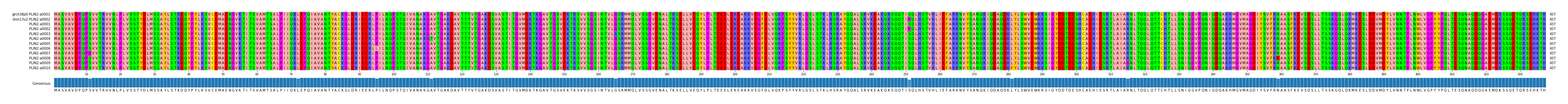 Multiple Alignments (by translate haplotype frequency)