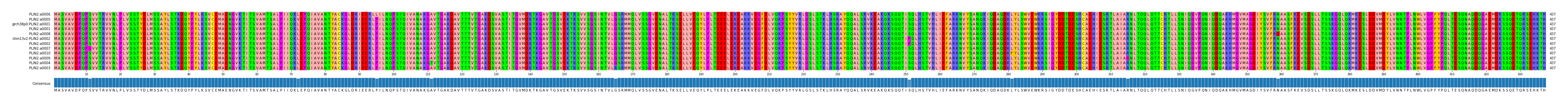 Multiple Alignments (by translate haplotype similarity)