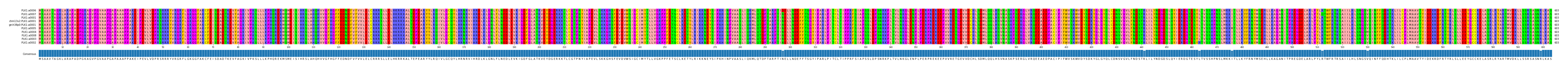 Multiple Alignments (by translate haplotype similarity)