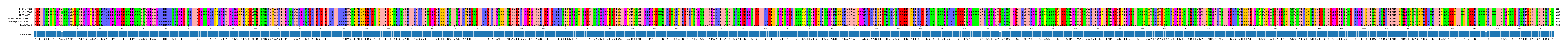 Multiple Alignments (by translate haplotype similarity)