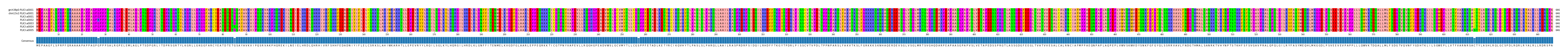 Multiple Alignments (by translate haplotype frequency)