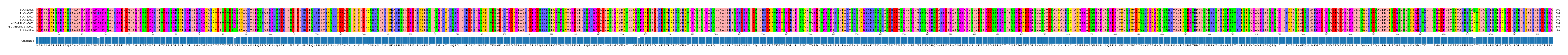 Multiple Alignments (by translate haplotype similarity)