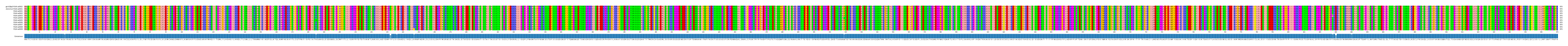 Multiple Alignments (by translate haplotype frequency)