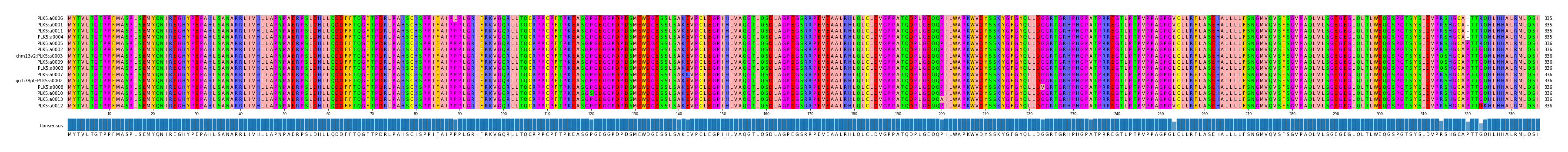 Multiple Alignments (by translate haplotype similarity)