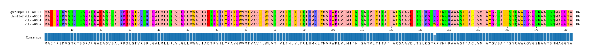 Multiple Alignments (by translate haplotype similarity)
