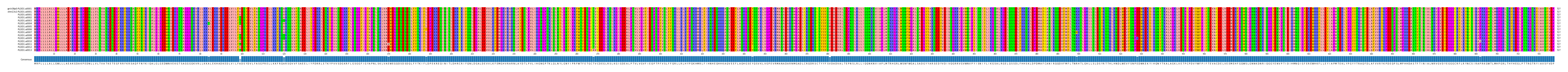 Multiple Alignments (by translate haplotype frequency)