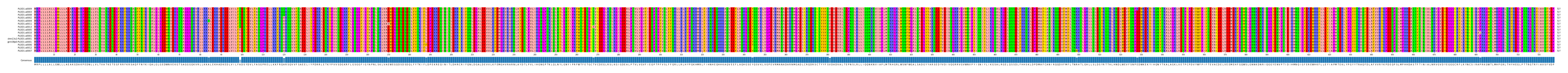 Multiple Alignments (by translate haplotype similarity)