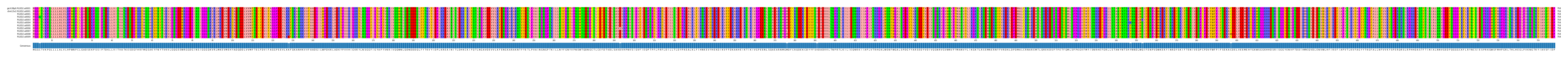 Multiple Alignments (by translate haplotype frequency)