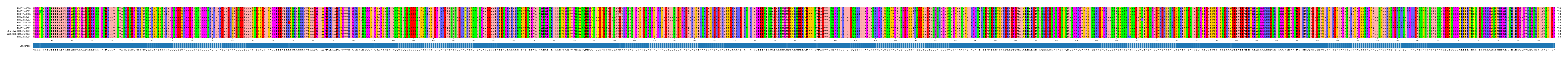 Multiple Alignments (by translate haplotype similarity)