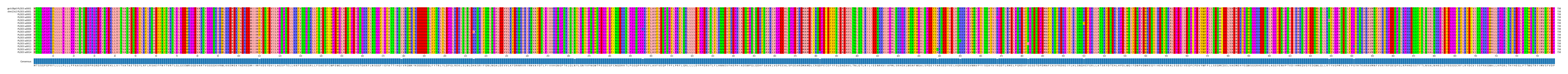 Multiple Alignments (by translate haplotype frequency)