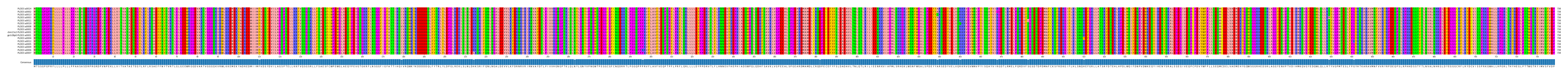 Multiple Alignments (by translate haplotype similarity)