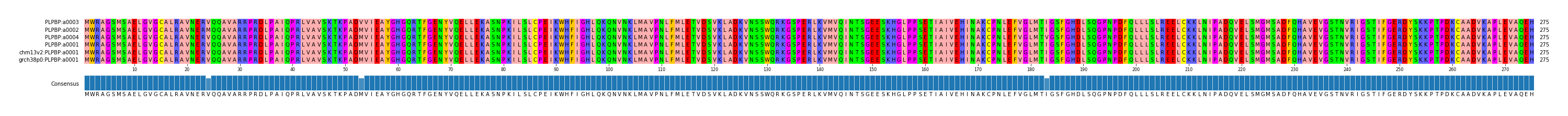 Multiple Alignments (by translate haplotype similarity)