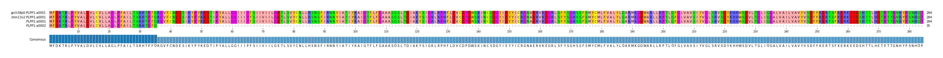 Multiple Alignments (by translate haplotype similarity)