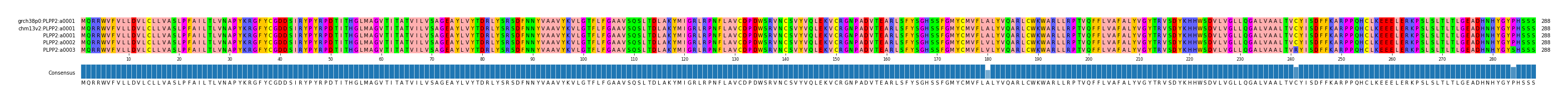 Multiple Alignments (by translate haplotype similarity)