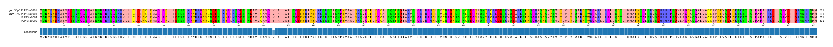 Multiple Alignments (by translate haplotype similarity)