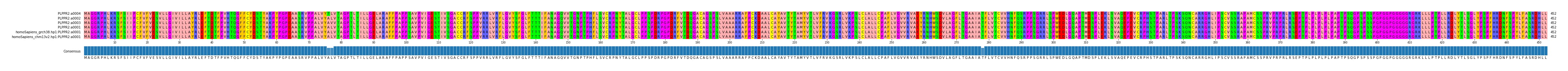 Multiple Alignments (by translate haplotype similarity)